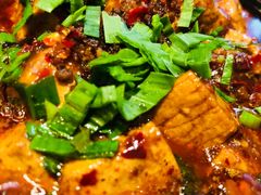 麻婆豆腐-夫妻肺片·中华老字号·正宗川菜(春熙路店)