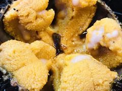 紫海胆-开海·红岛海鲜虾水饺(石老人店)