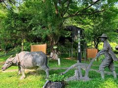 -广州神农草堂中医药博物馆