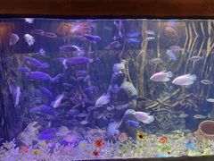 -华夏文旅海洋公园