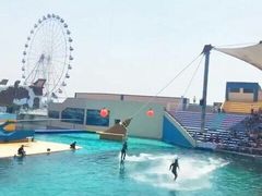 -秦皇岛乐岛海洋王国