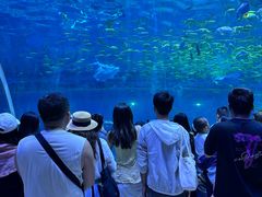 -华夏文旅海洋公园