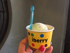 梅子冰淇淋-莓园冰淇淋店