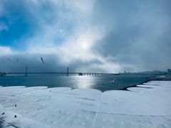 -星海湾跨海大桥