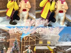 -世界之窗阿尔卑斯冰雪世界