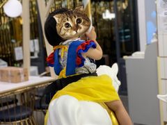 -Lilliput粒粒堡亲子餐厅(置汇旭辉店)
