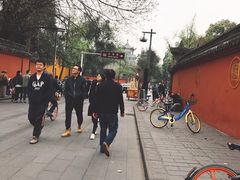 -洞子口张老二凉粉(文殊院店)