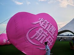 -泰达航母主题公园