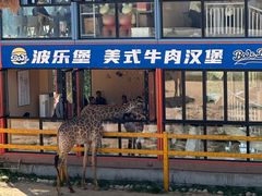 -西霞口神雕山野生动物世界