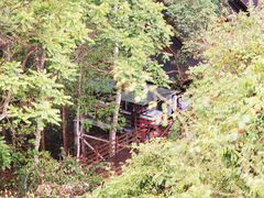 -野象谷景区