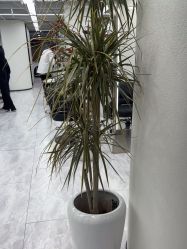 -IN STYLE·全国形象店