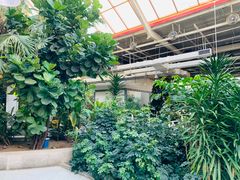 -红栌温泉山庄生态美食餐厅