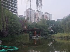 -木塔寺遗址生态公园