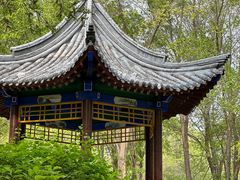 -青城公园