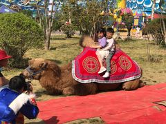 -华夏文旅海洋公园