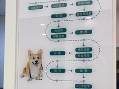 -瑞派康怡24h宠物医院·犬猫医疗中心·微创绝育(瑞景分院)