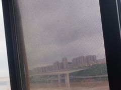 -李子坝梁山鸡(李子坝大鸡哥店)