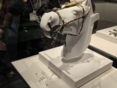 -秦始皇帝陵博物院-丽山园
