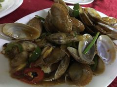 豉汁炒花甲-蛇口康乐快餐鱼仔档(翠苑小区店)