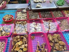 -板桥海鲜广场(文明东店)