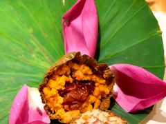 -叶叶菩提(太原别墅店)