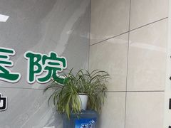-半岛宠物医院24小时(白果林店)