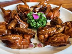 -顺德了能馆(虎门店)