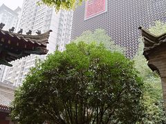 -罔极寺