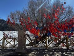 -天山天池风景区-西王母祖庙