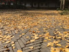 -北寺塔