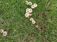 -布丁严选酒店(杭州武林西湖文化广场地铁站店)