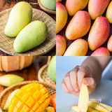 有手就能做‼️4种芒果神仙做法！芒果控快码住