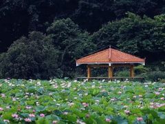 -人民公园(罗湖区)