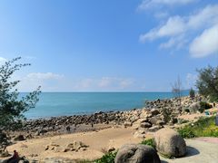 -广东惠东海龟国家级自然保护区