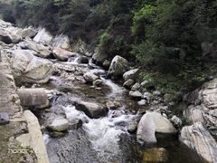 -少华山国家森林公园