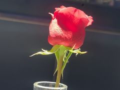 -味界·精致赣菜(招商花园城店)