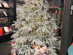 -TOP健身私教工作室(侨香店)