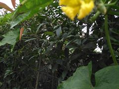 -锦江中华村农家乐饭庄