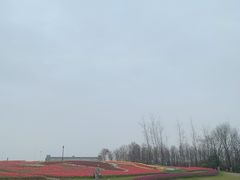 -杭州湾海上花田景区