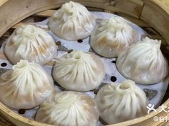 -莱莱小笼·乔艾
