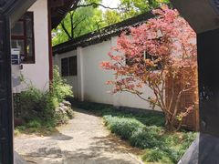 -上海醉白池公园