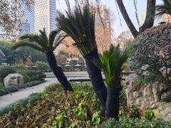 -静安公园(静安寺街道)