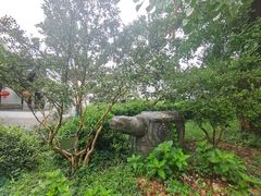-雨花胜境