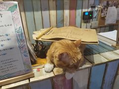 -小时光咖啡馆(开森度假森林店)