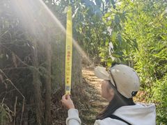 -天目山-昭明禅寺