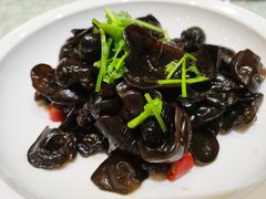 黑木耳-一品粤珍轩(吴中路店)