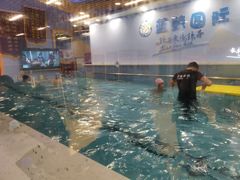 -蓝鲸国际少儿游泳训练中心(群力店)
