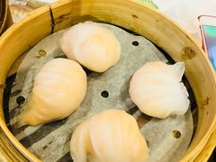 -添好运点心专门店(北角店)