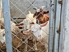 -百里峡七彩艺术小镇