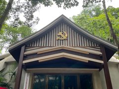 -西双版纳原始森林公园